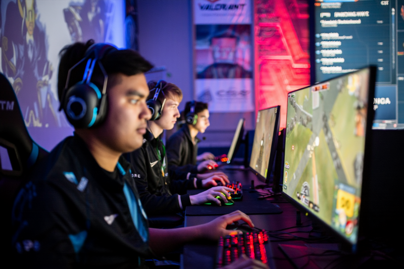 7b56dedfc2a71a1ce681070d814f9fc5